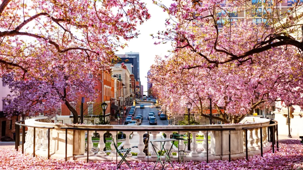 Commercial Real Estate Broker in Silver Spring, MD